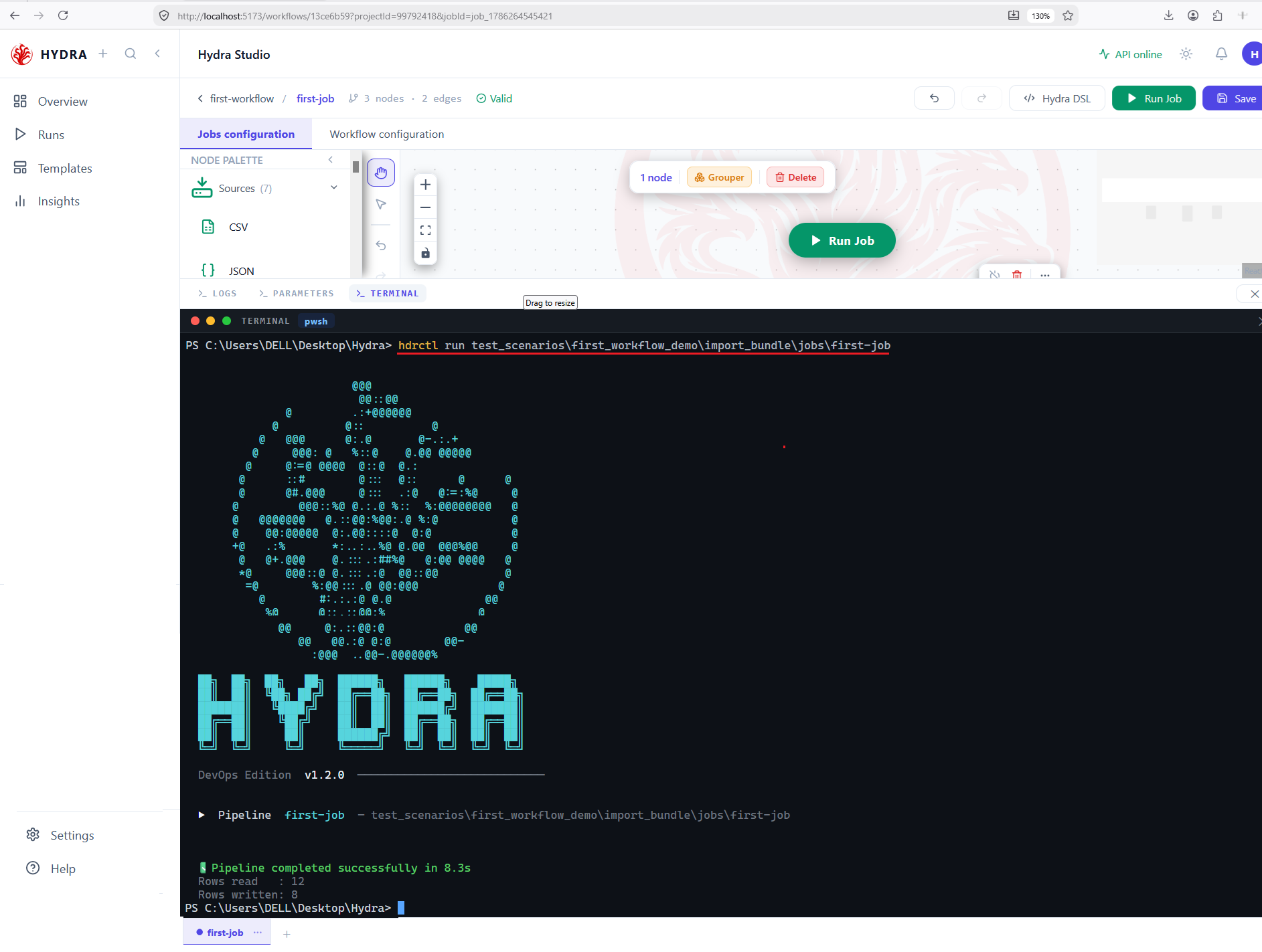 The Terminal tab inside Studio running hdrctl run on a job folder, showing the Hydra banner and a successful pipeline summary.