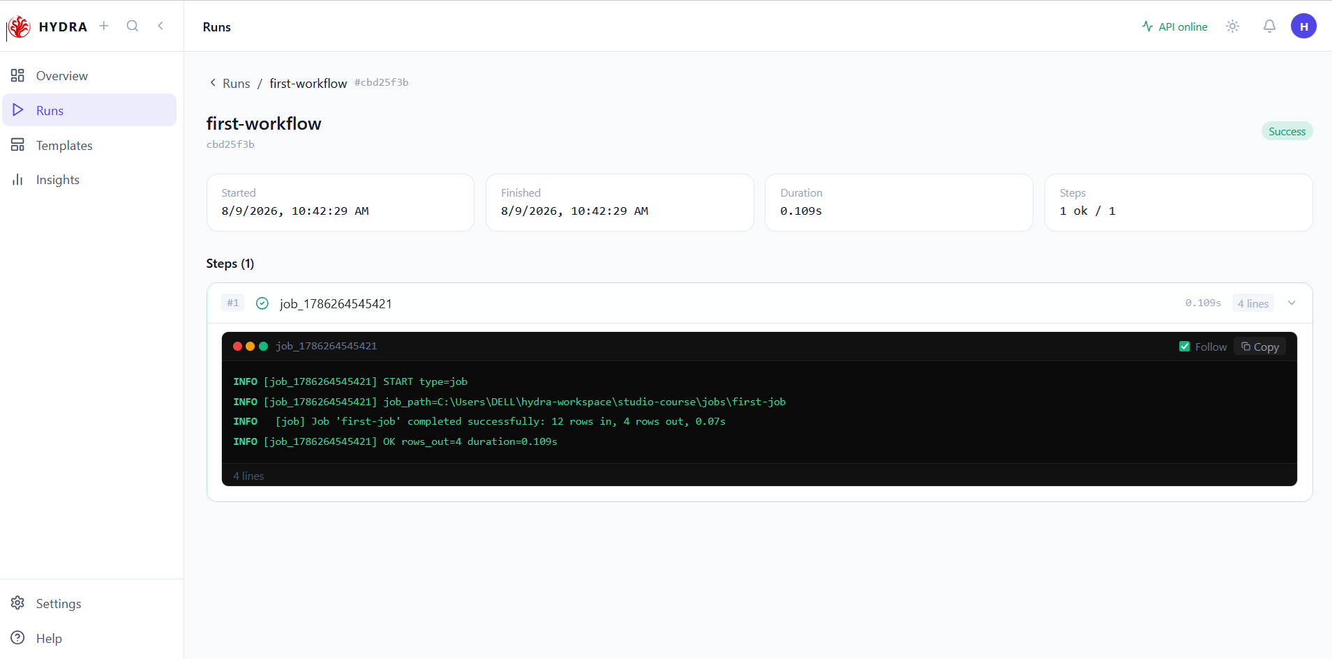 Hydra Studio run detail page showing a successful first-workflow execution, summary cards, and expanded job logs